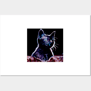 Curious Kitten Posters and Art